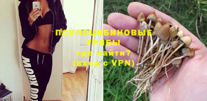 shop клад  Азов  Псилоцибиновые грибы Magic Shrooms 